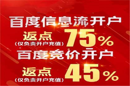 SEM托管实战：某电商平台的成功经验